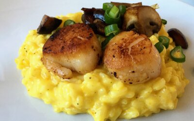 Safranrisotto med kammuslinger