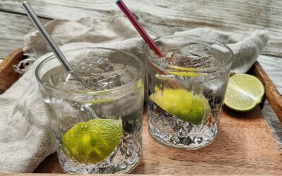 Gin og tonic