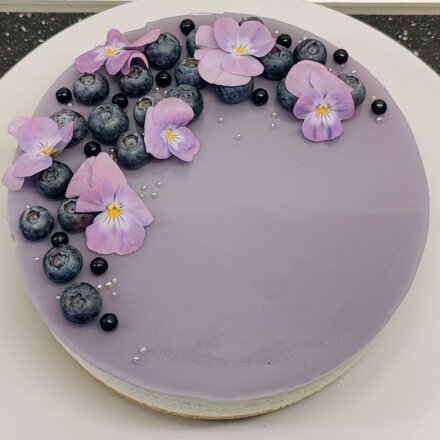 Cheesecake med blåbær