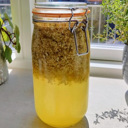 Hyldeblomstsaft
